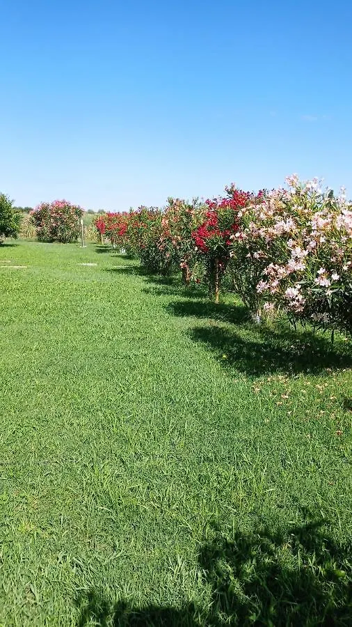 Solo Voi Due B&B Corte Centrale Bed & Breakfast
