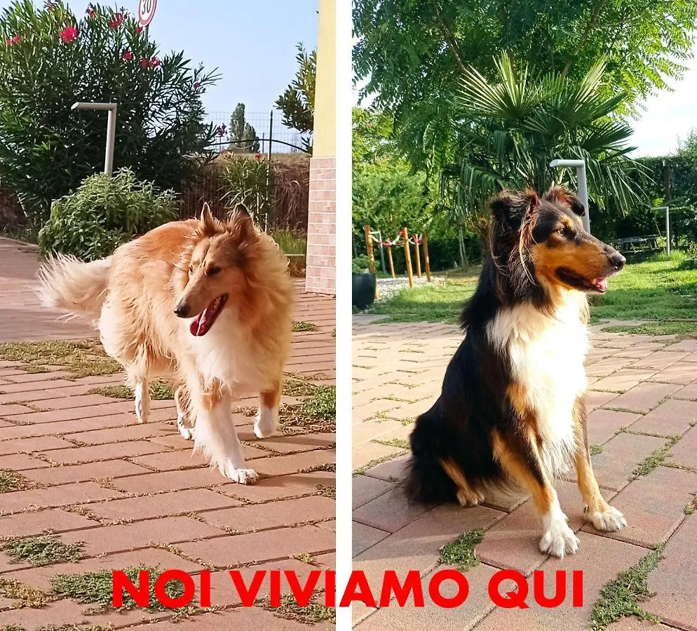 Solo Voi Due B&B Corte Centrale 0*,  Italy